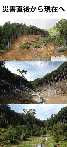 土砂災害と植樹